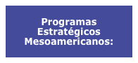 
Programas 
Estratégicos Mesoamericanos:
